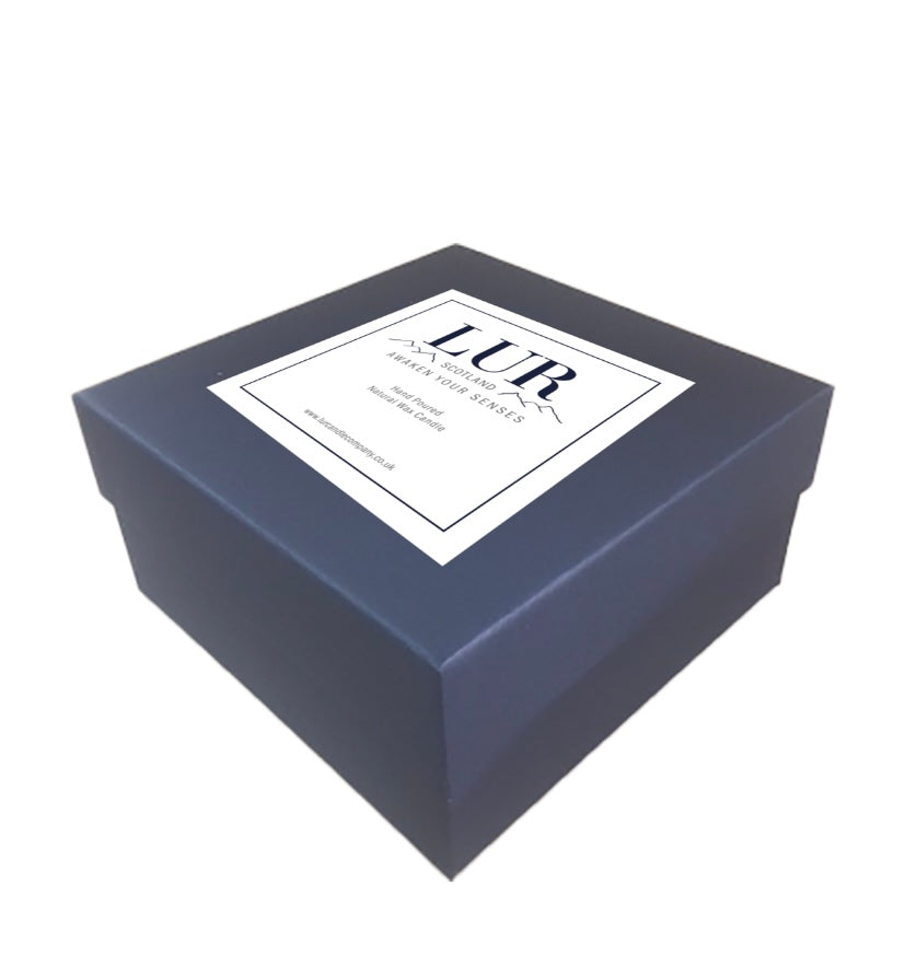 Votive Winter Collection Gift Set (with 4 votive candles)